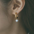 heart earrings p67