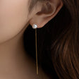 heart earrings p67