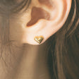 heart earrings p67