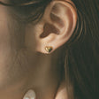 heart earrings p67