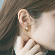 heart earrings p67