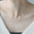 ホースシュー ジルコニア ネックレス n102