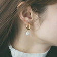 heart earrings p67