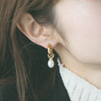 heart earrings p67