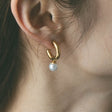 heart earrings p67