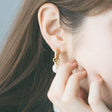 heart earrings p67