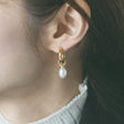 heart earrings p67