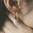 heart earrings p67