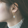 heart earrings p67