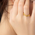 chain ring r114