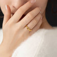 chain ring r114