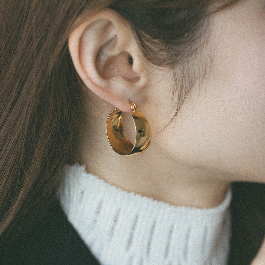 heart earrings p67