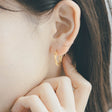 twisted hoop earrings p5