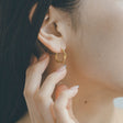 twisted hoop earrings p5