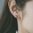 heart earrings p67