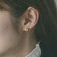 heart earrings p67