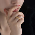 chain ring r114