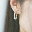 anchor earrings p61