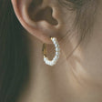anchor earrings p61