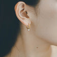 Zirconia hoop earrings p28