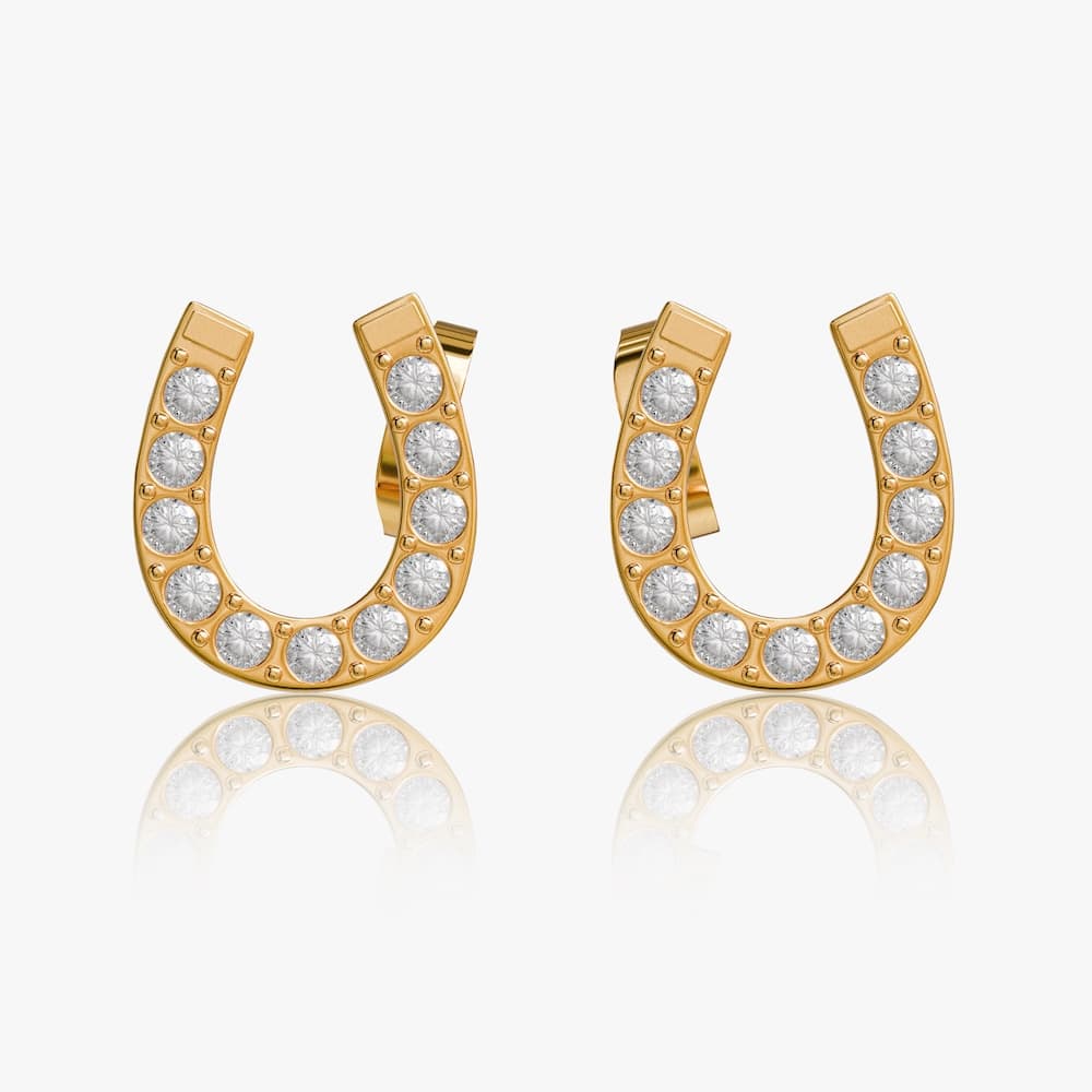 heart earrings p67
