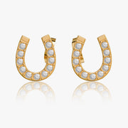 heart earrings p67