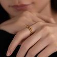 chain ring r114