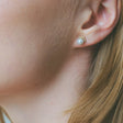 heart earrings p67