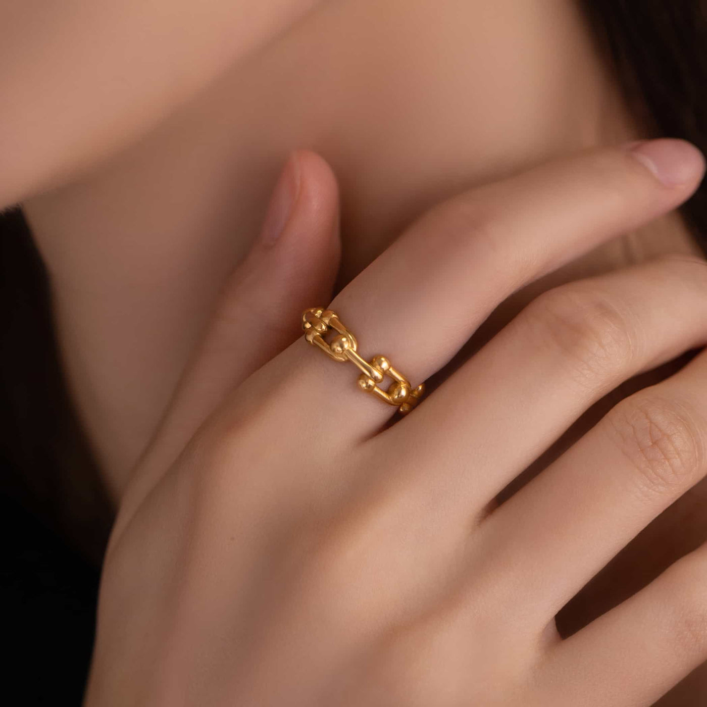 chain ring r114