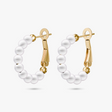 anchor earrings p61