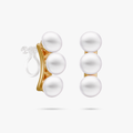 heart earrings p67