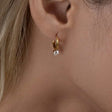 Zirconia hoop earrings p28