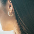 anchor earrings p61