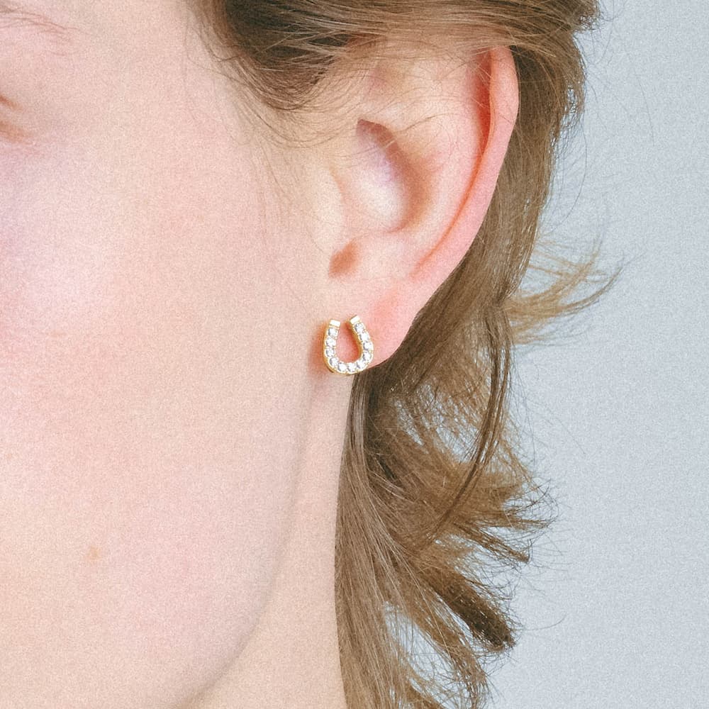 heart earrings p67