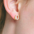 heart earrings p67