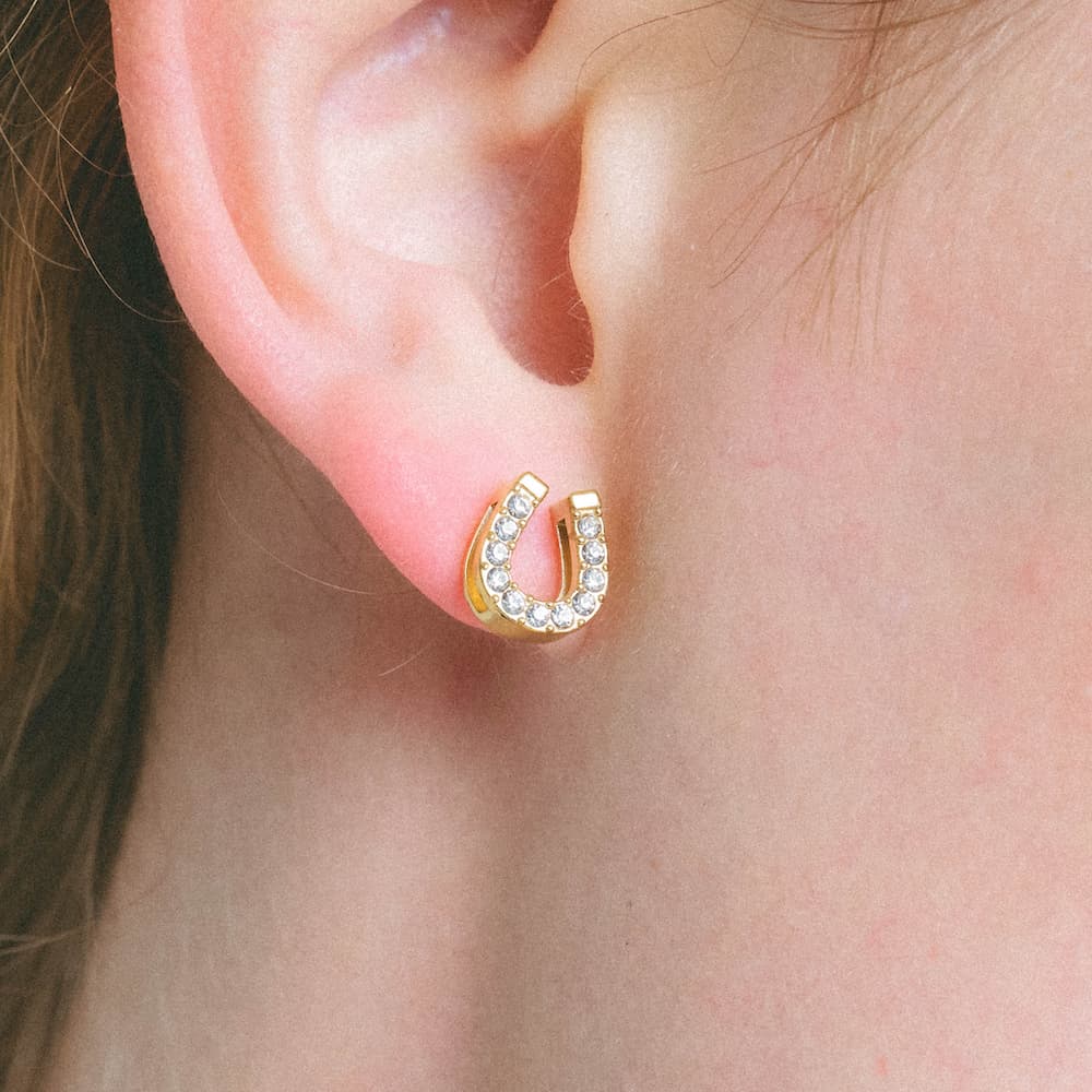 heart earrings p67