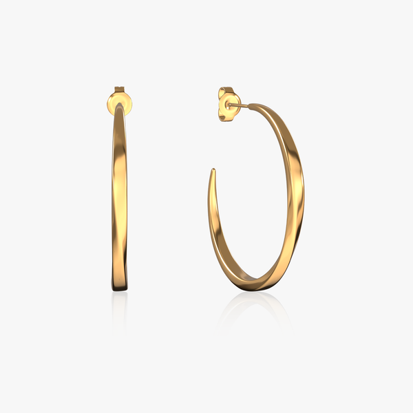 heart earrings p67