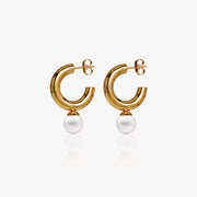 heart earrings p67
