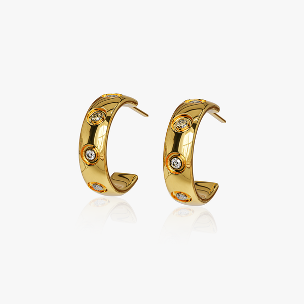 heart earrings p67