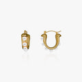 heart earrings p67