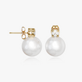 heart earrings p67
