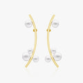heart earrings p67