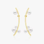 heart earrings p67