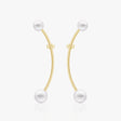 heart earrings p67