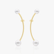heart earrings p67
