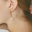 heart earrings p67