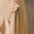 heart earrings p67