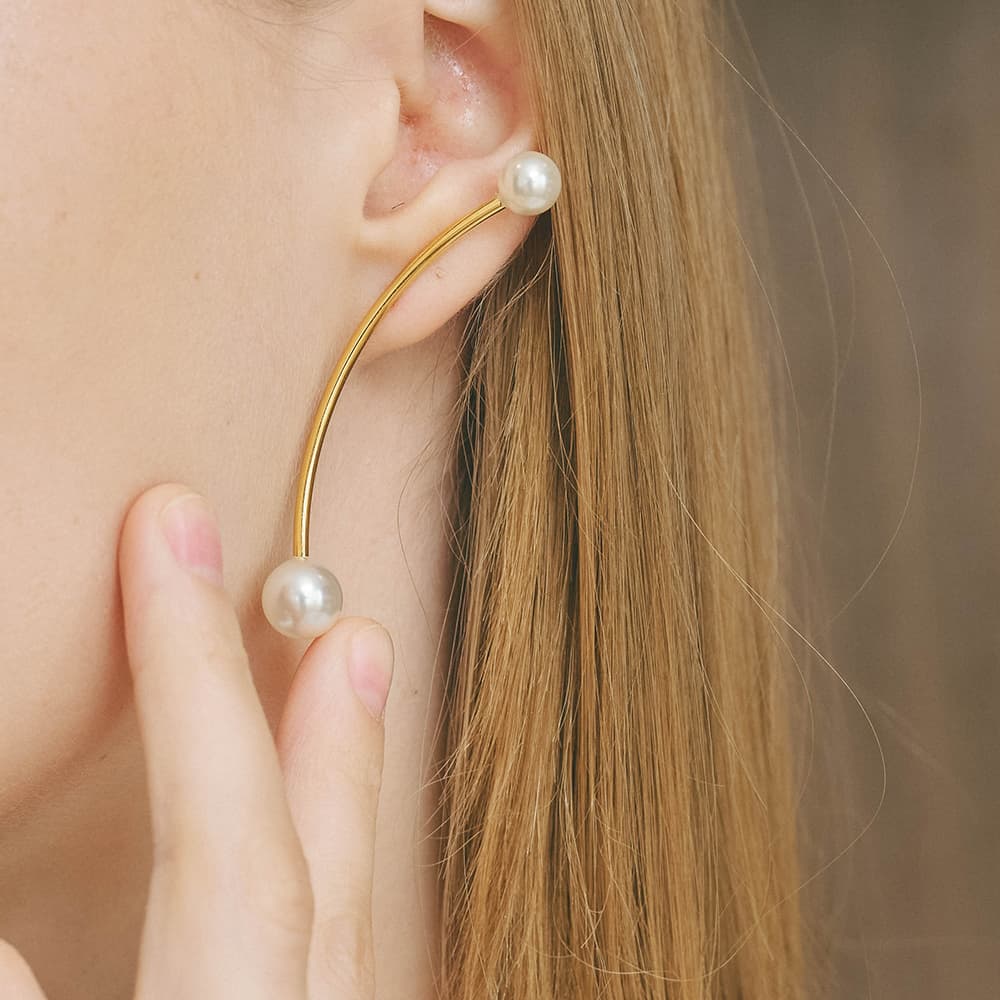 heart earrings p67