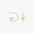 heart earrings p67