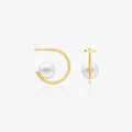 heart earrings p67